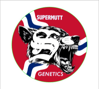 Custom Grip Tape Stickers (2.75" Circles)