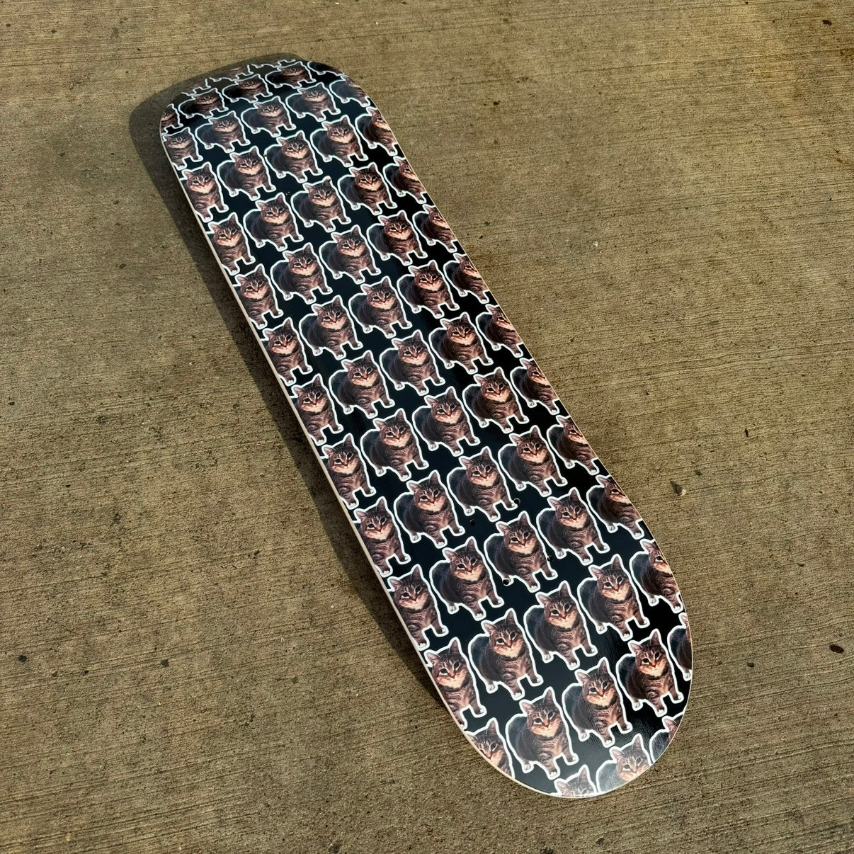 OIIA Skate Deck