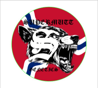 Custom Grip Tape Stickers (2.75" Circles)