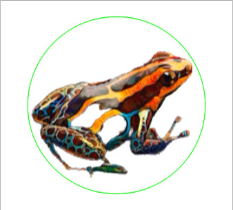 Custom Grip Tape Stickers (2.75" Circles)