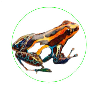 Custom Grip Tape Stickers (2.75" Circles)